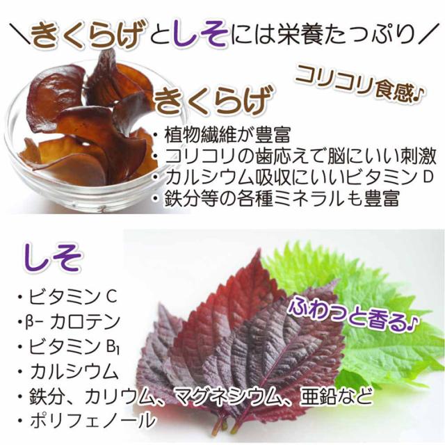 きくらげしそご飯お供お土産おにぎりつくだにたっぶりつまみリピート【4袋】ご飯のお供しそきくらげ90gTokka 