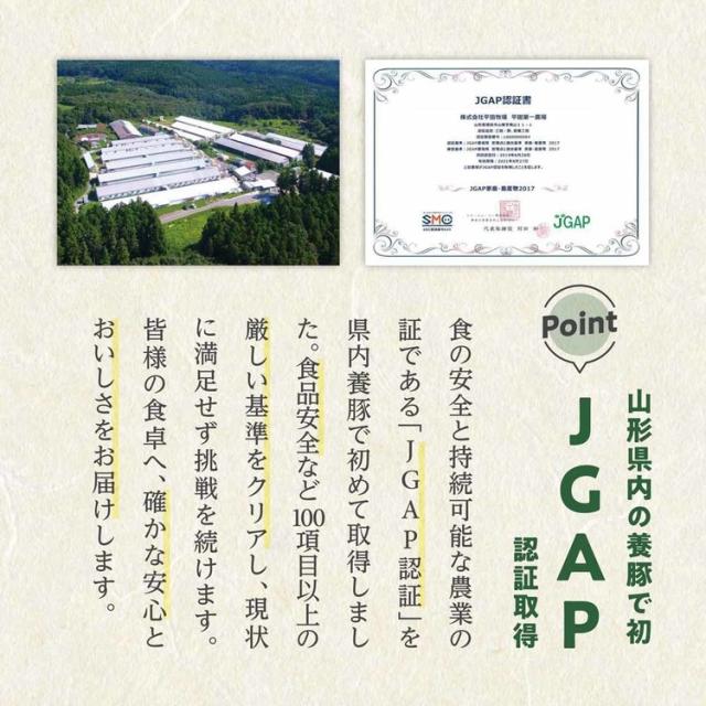 平田牧場平田牧場金華豚金華豚平田牧場三元豚三元豚米ハンバーグ炭火焼肉送料無料日本の米育ち三元豚炭火焼ハンバーグギフト株式会社平田牧場 