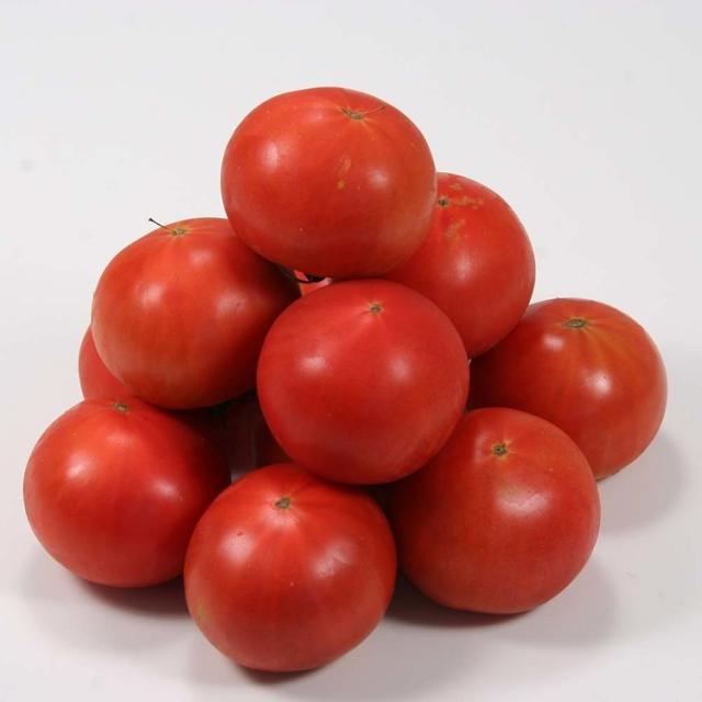 トマト北海道産地直送旬フルーツ野菜ギフト糖度【倉庫登録】下川町産フルーツトマト1箱(8〜15玉)