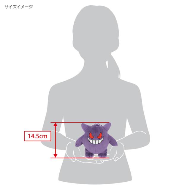 ぬいぐるみポケットモンスターALLSTARCOLLECTIONポケモンおもちゃ子どもオールスターコレクションぬいぐるみポケットモンスターALLSTARCOLLECTION　PP01ピカチュウ(S) 