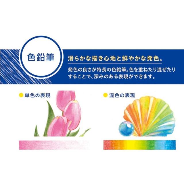 シヤチハタアートライン色鉛筆文房具アートライン色鉛筆24色セットアートライン