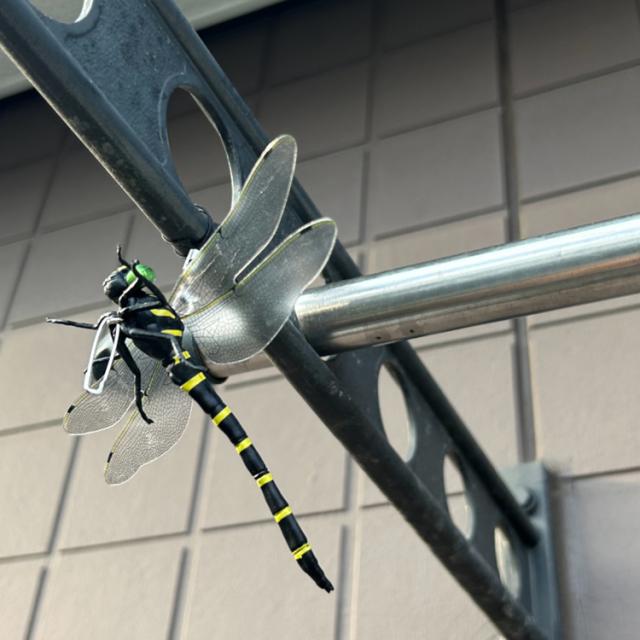オニヤンマおにやんま鬼やんま虫よけ虫除けトンボアウトドアゴルフ山登りブローチ鬼ヤンマ 