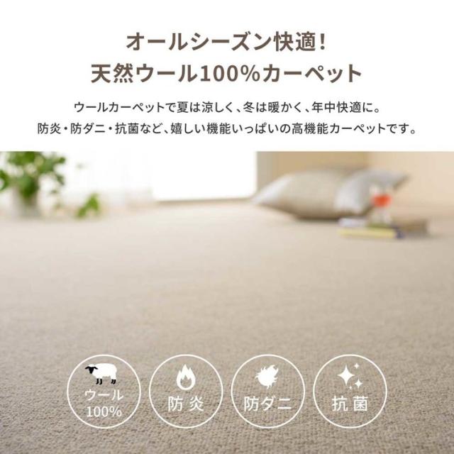 カーペットラグマット絨毯江戸間抗菌防ダニ防炎ホットカーペット対応リビング天然ウール100％の防炎カーペットカーペットオペラ江戸間6畳 