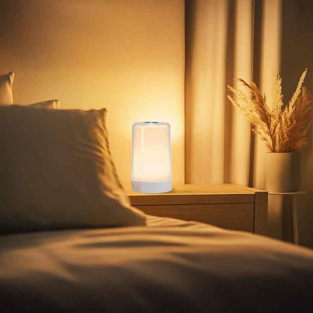 ナイトライトLED電池式USB給電Type-CUSBケーブル付属タッチセンサー調光機能電球色大きなタッチライト