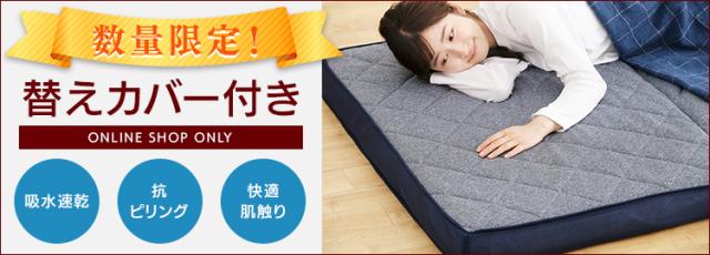 替えカバー付き