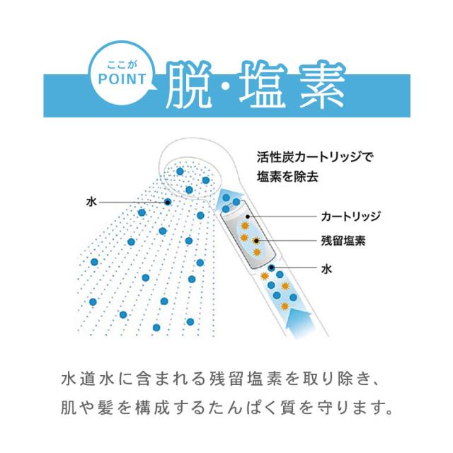ポイントは脱・塩素