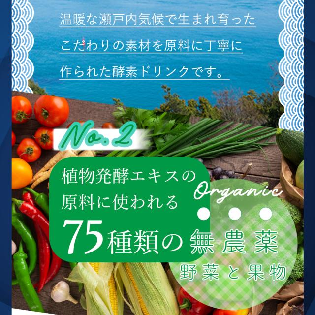 ピュアエンザイム75 無添加酵素ドリンク2本 SLcreations 無添加酵素