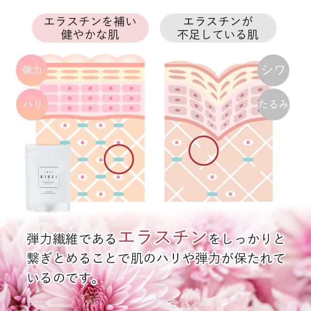 季令（ KIREI ） エラスチンカプセル 100粒 高純度エラスチン 
