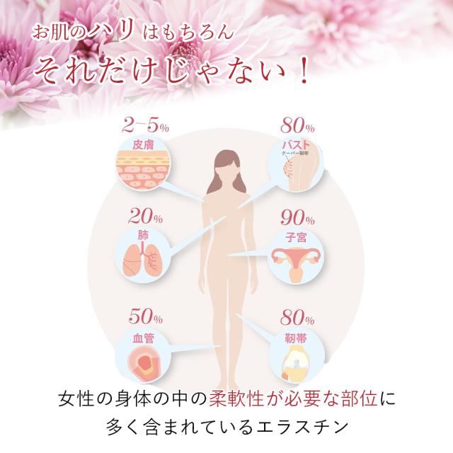季令（ KIREI ） エラスチンカプセル 100粒 高純度エラスチン 