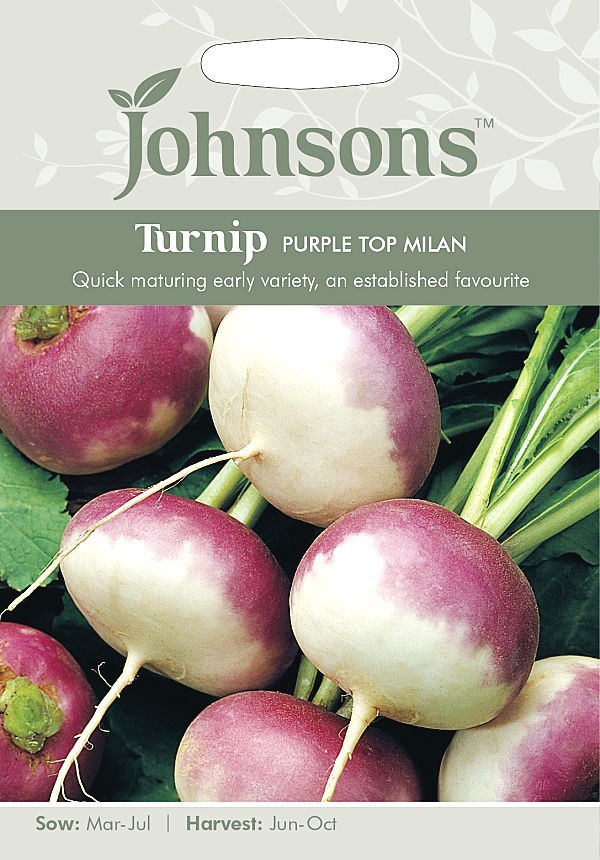 輸入種子 Johnsons Seeds Turnip Purple Top Milan ターニップ かぶ パープル トップ ミラン ジョンソンズシードの通販はau Pay マーケット Gardener S Shop Ivy 商品ロットナンバー