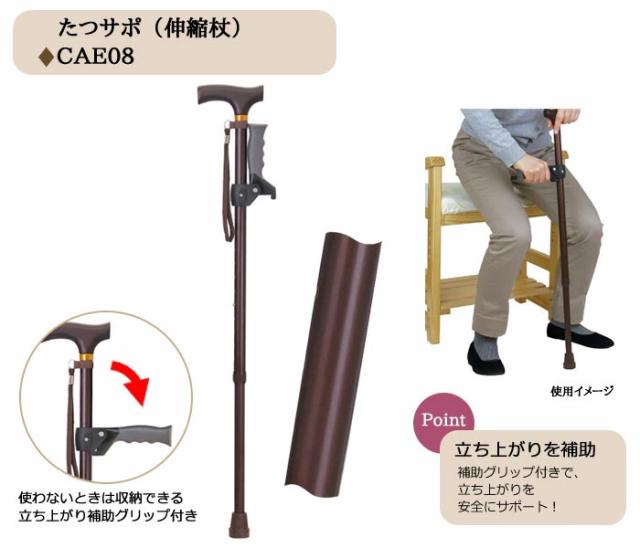 たつサポ CAE08