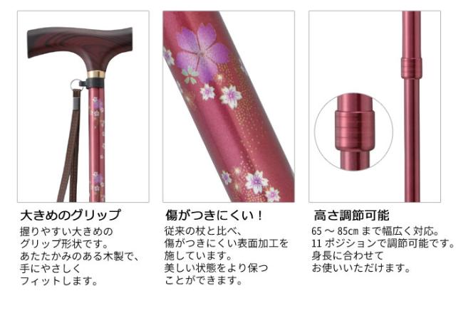 テイコブ伸縮ステッキ EP03の特徴