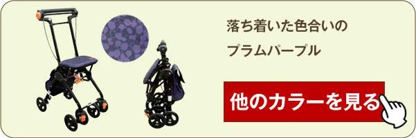 プラムパープル販売中