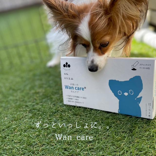 丹波なた豆犬想いのWanCare