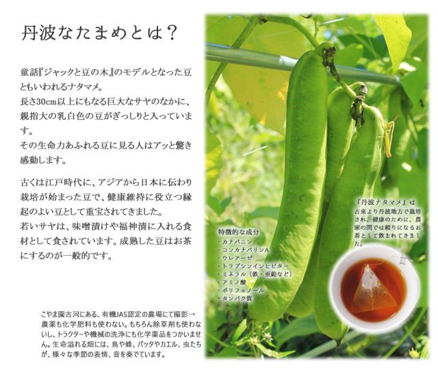 丹波なた豆とは?なたまめの特徴