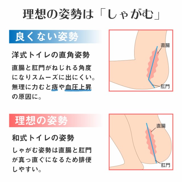 トイレ 踏み台 Lサイズ トイレスムーズ 滑り止め付き 高さ 21cm トイレトレーニング 足置き ステップ 洋式トイレの通販はau PAY  マーケット - T BRAND au PAY マーケット店 | au PAY マーケット－通販サイト