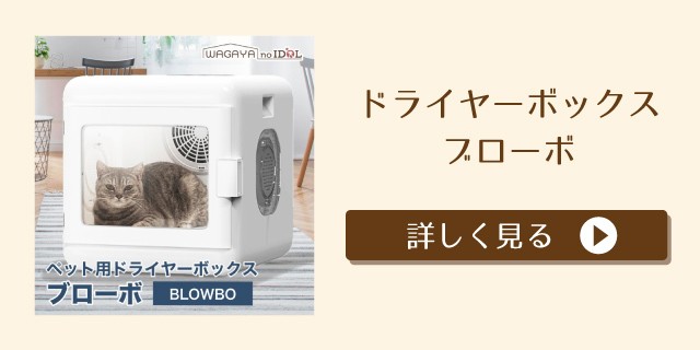 猫 犬 ペット 自動 給餌器 自動給餌器 カメラ付き スマホ 遠隔操作