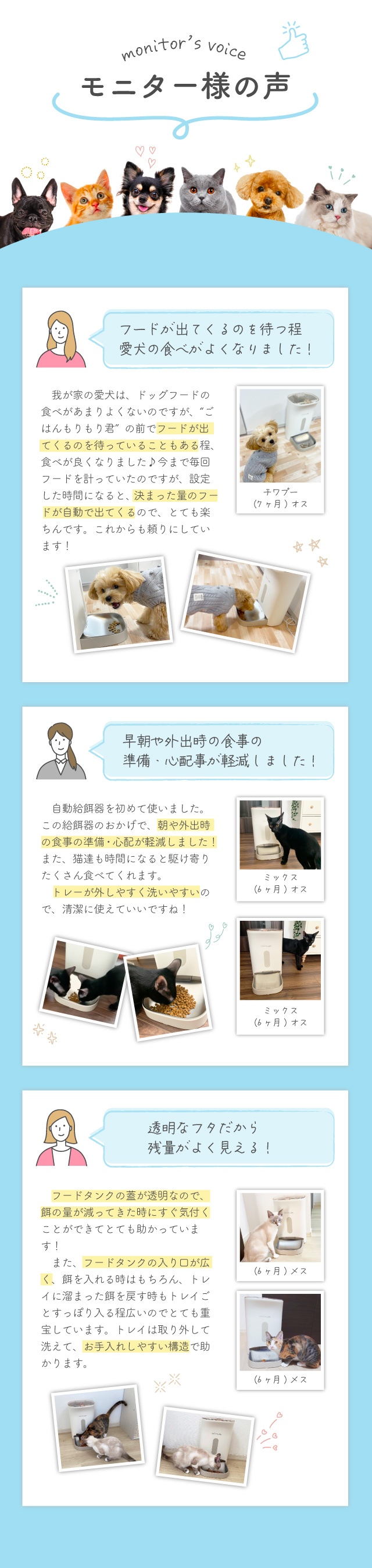 犬猫用自動給餌器 ごはんもりもり君