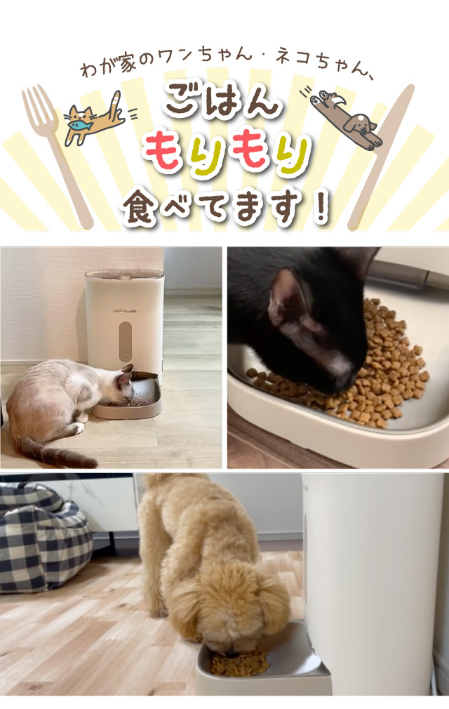 犬猫用自動給餌器 ごはんもりもり君