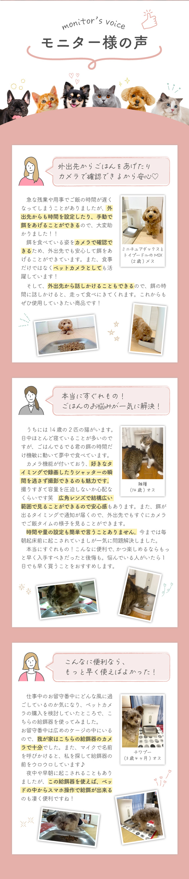 犬猫用自動給餌器 ごはんもりもり君PLUS