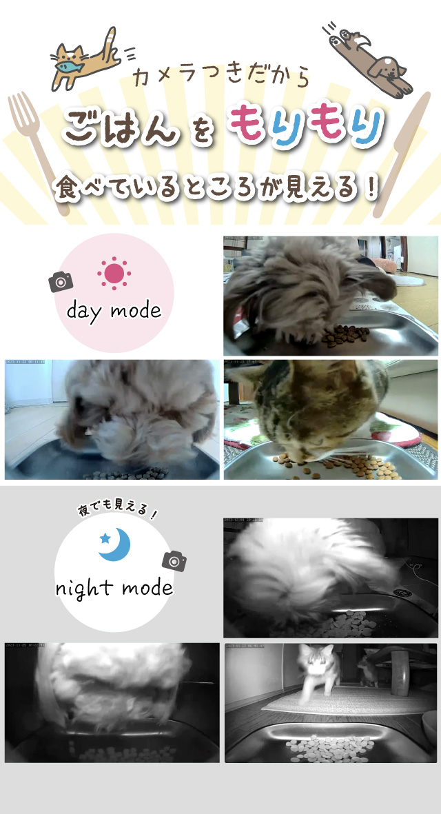 犬猫用自動給餌器 ごはんもりもり君PLUS