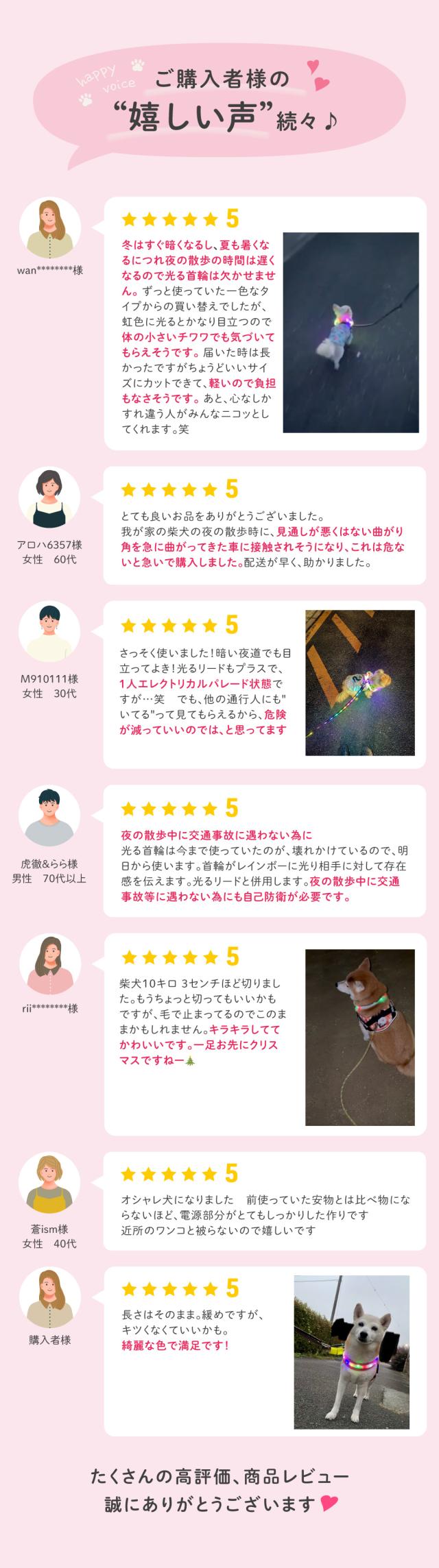 わが家のアイドル 光る レインボー首輪