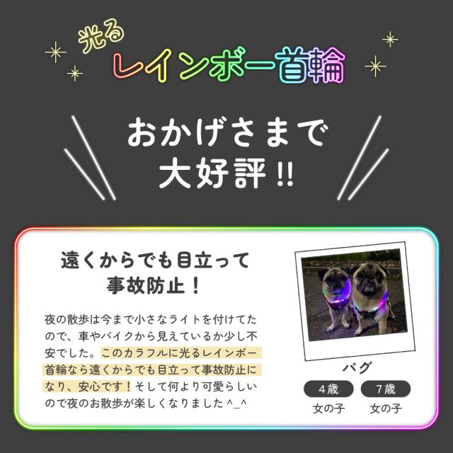 わが家のアイドル 光る レインボー首輪