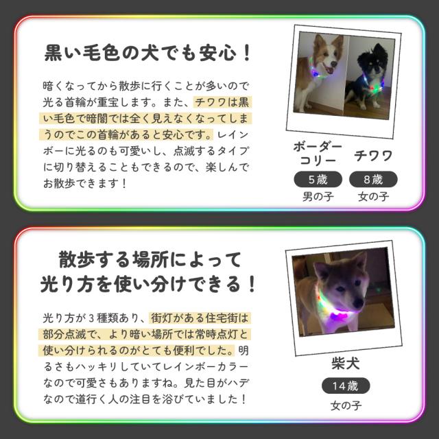 わが家のアイドル 光る レインボー首輪