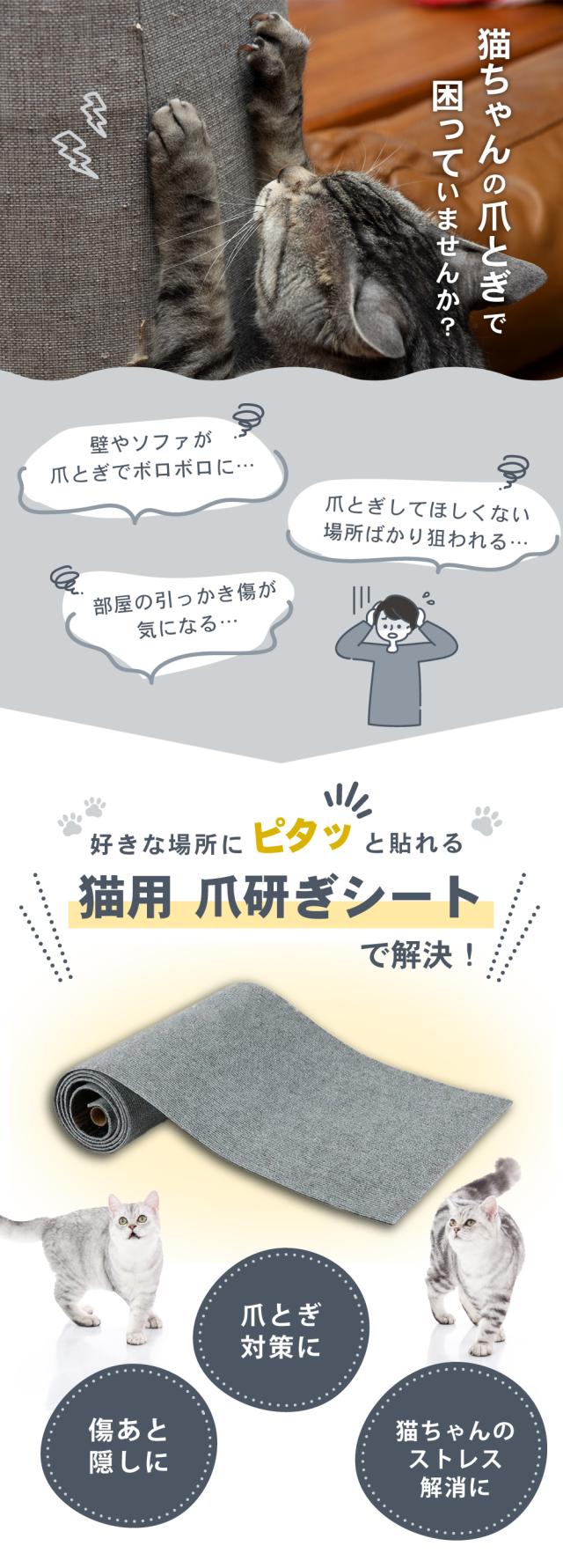 爪研ぎシート