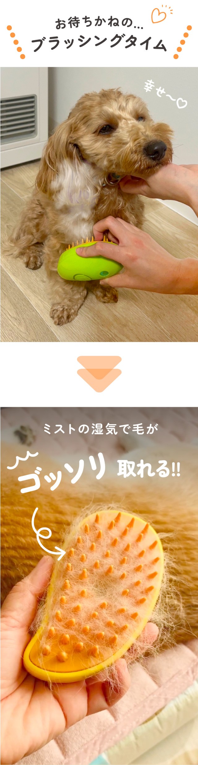 ミスト マッサージ ブラシ