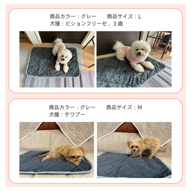 ホットマット