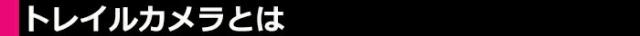 防犯
