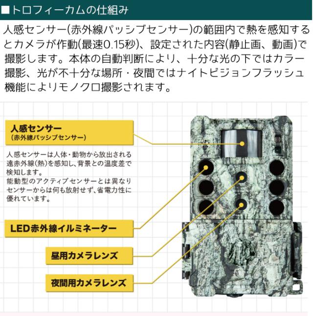 双眼鏡