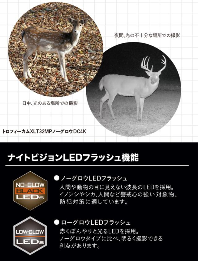 双眼鏡