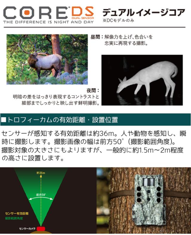 双眼鏡