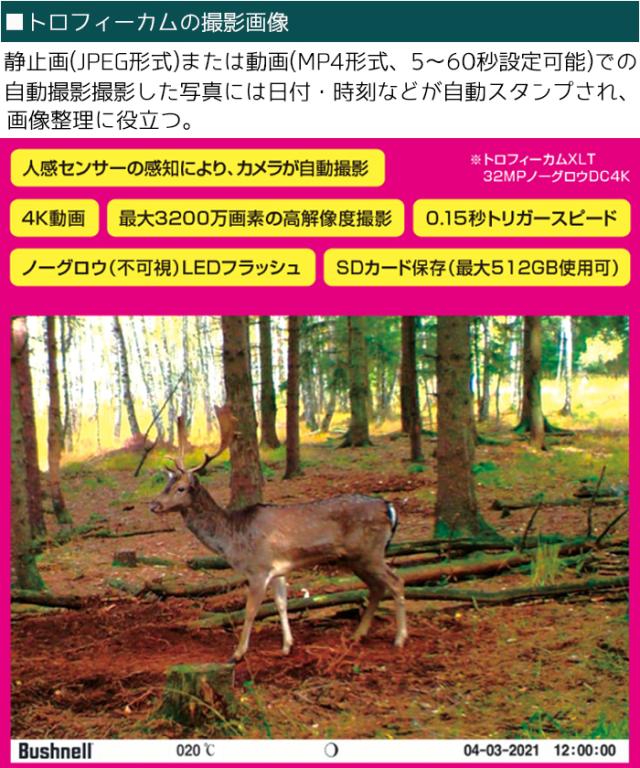 双眼鏡