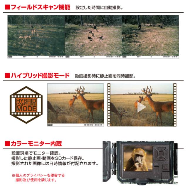 双眼鏡