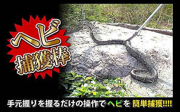 防犯