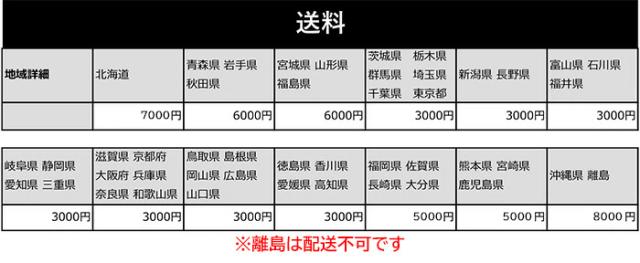 大型