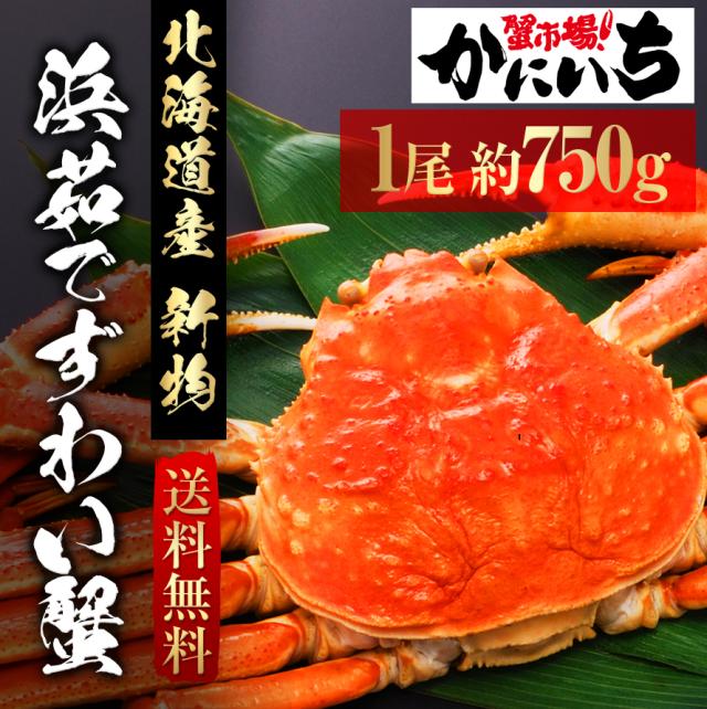 気質アップ As 1 浜茹でずわい蟹1尾 浜茹でずわい蟹 北海道産 送料無料 一尾約750g ずわいがに ズワイガニ カニ かに 残りわずか 在庫限り超価格 Centrodeladultomayor Com Uy