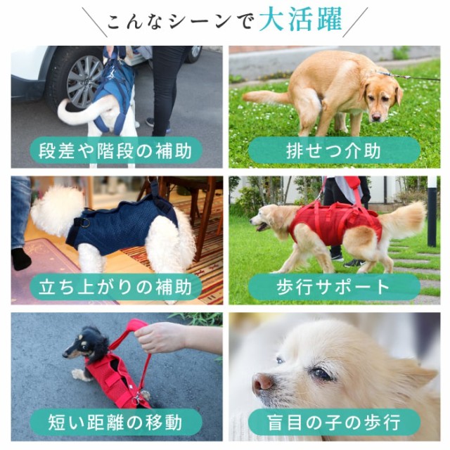 限定SALE 犬 ハーネス 介護用ハーネス 安心 しっかり 軽量 洗える 中・大型犬用オス・メス兼用 メッシュ3WAYケアハーネス 中・大型犬用オス・メスの通販はau PAY マーケット - ペット用品専門メーカー 在庫高品質