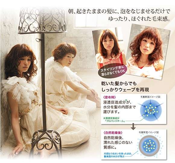 ニゼル ドレシアコレクション フォームシリーズ