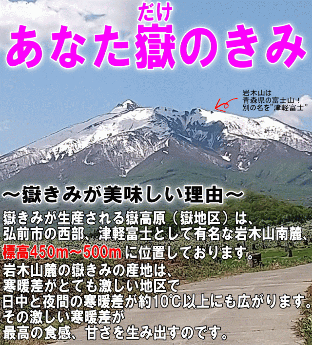 あなた嶽のきみ