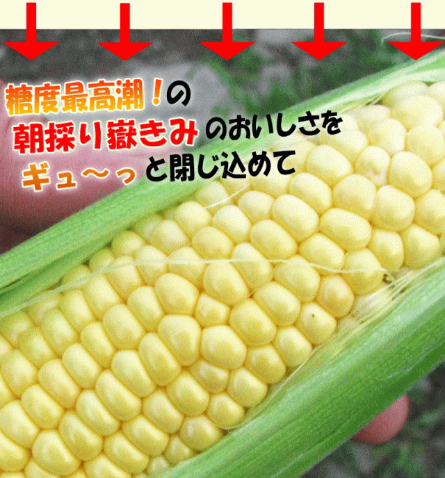 もぎたてを