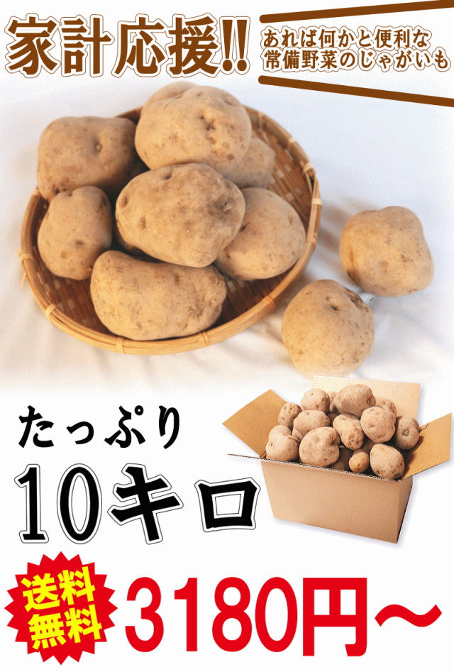 10kg3180円