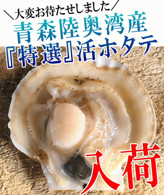 ほたて入荷