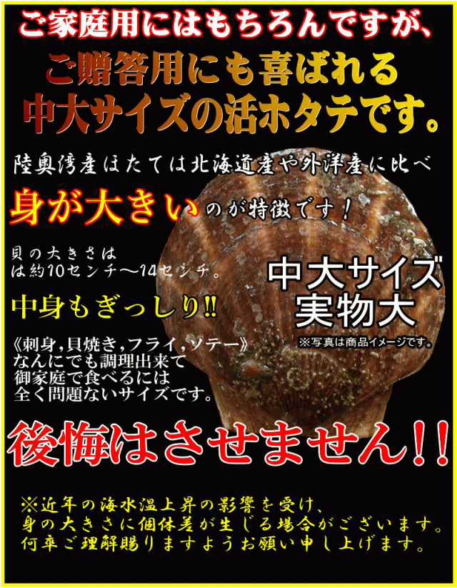 貝殻の大きさ