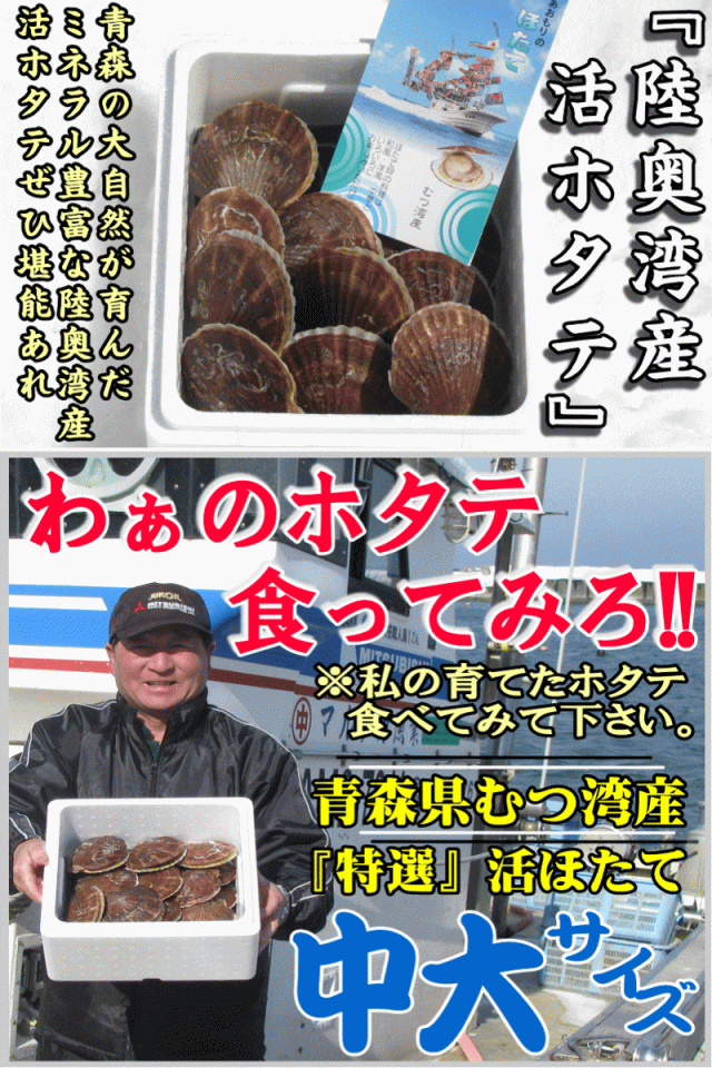 鮮度抜群活ほたて