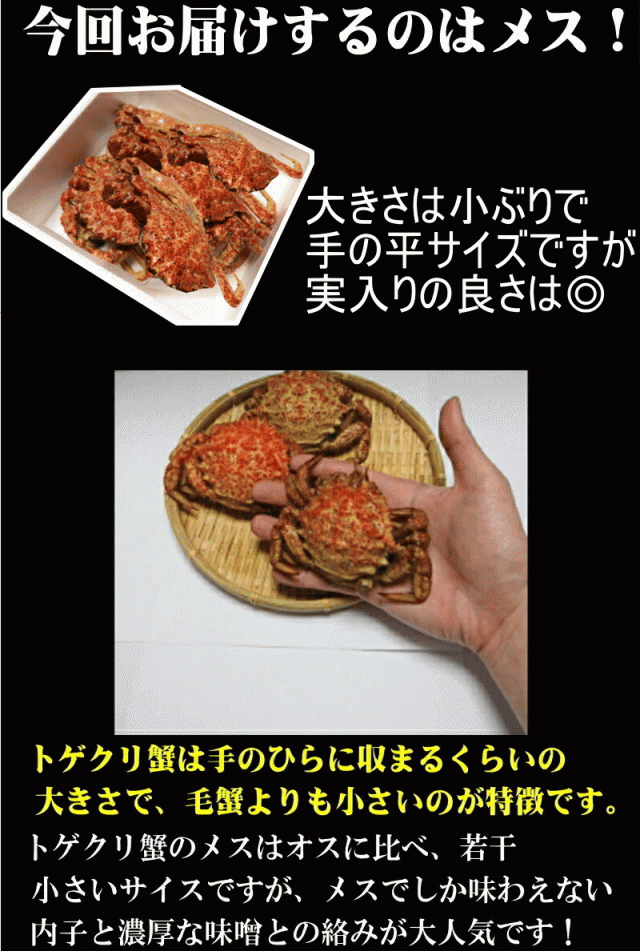 トゲクリ蟹メスの特徴