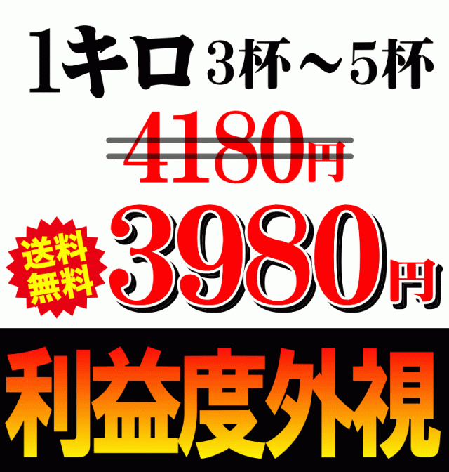 応援価格3980円